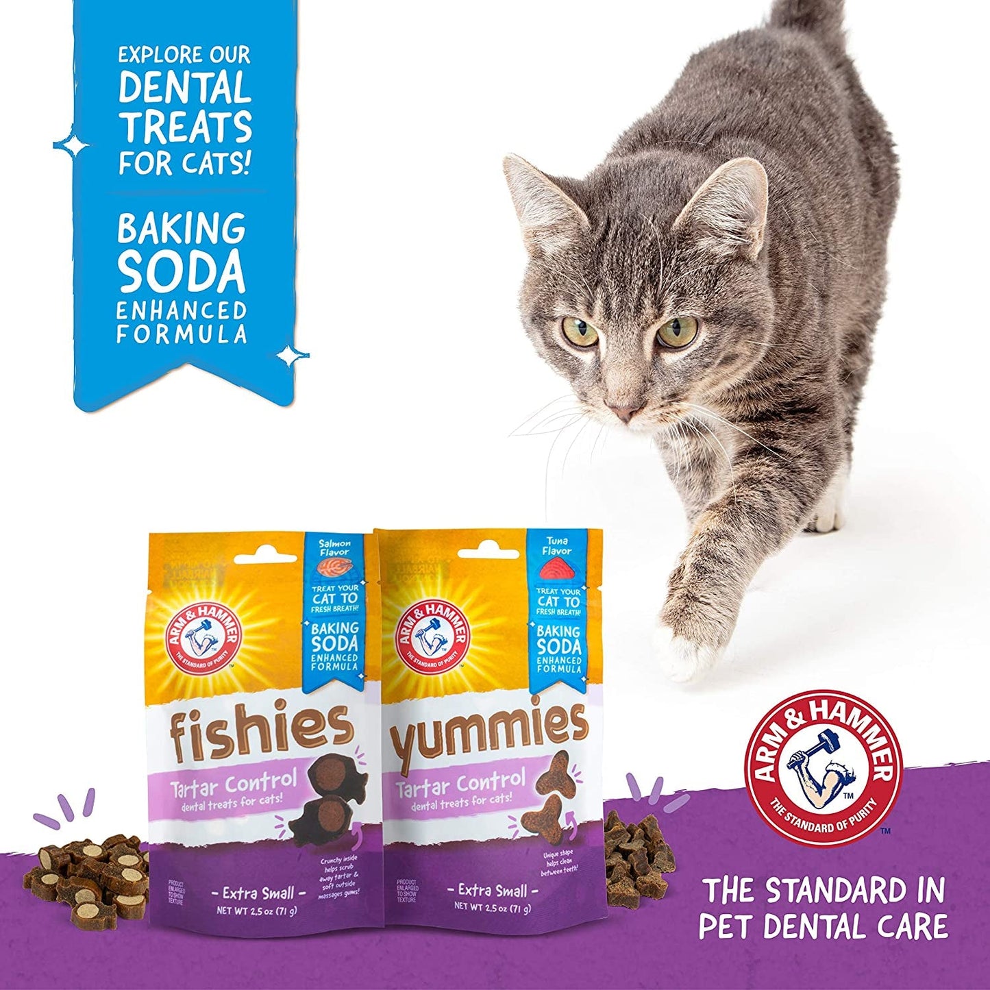 Cat Dental Health Treats