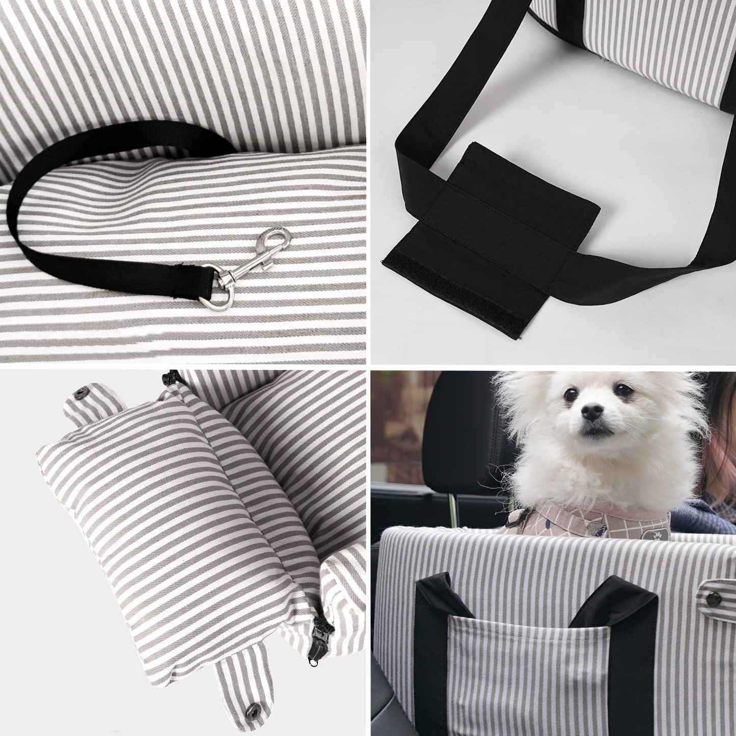 Adventure-Ready Pet Carrier