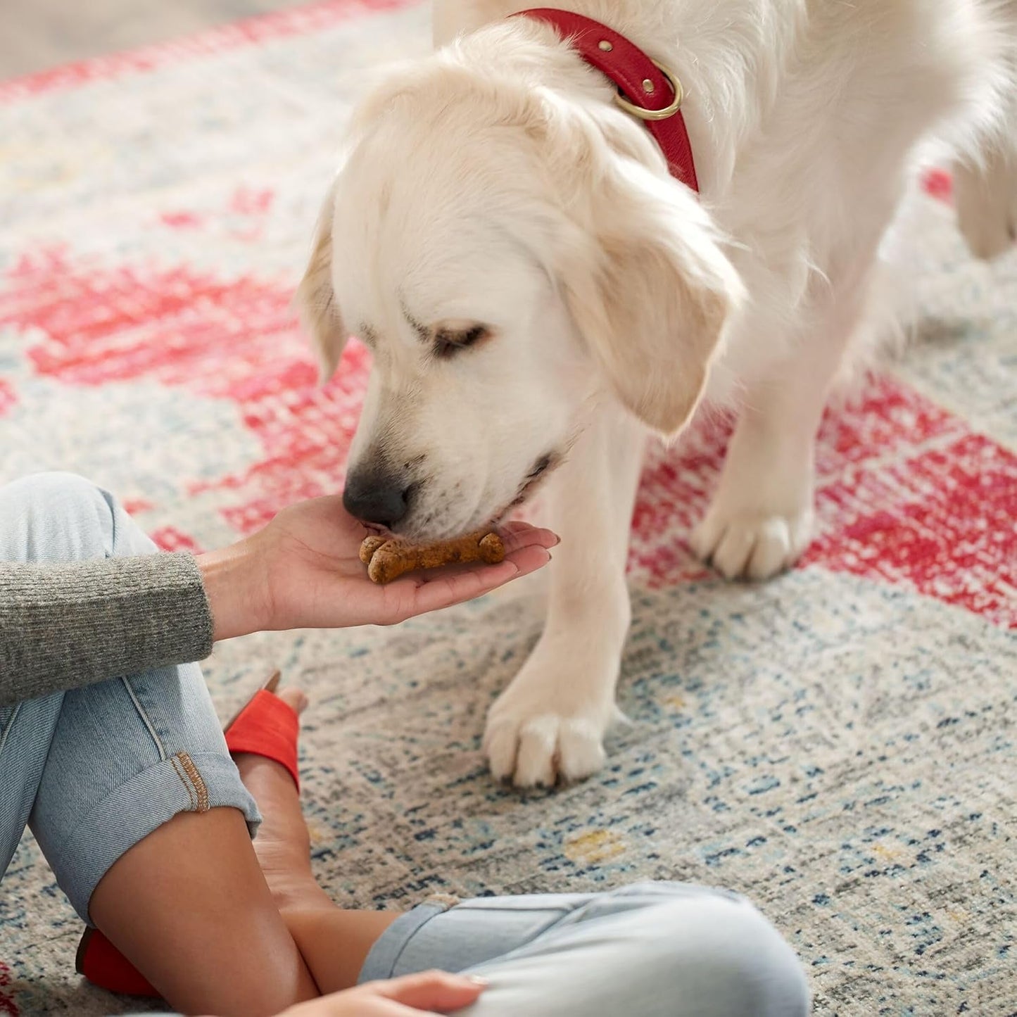 Easy Pill Pouches for Dogs