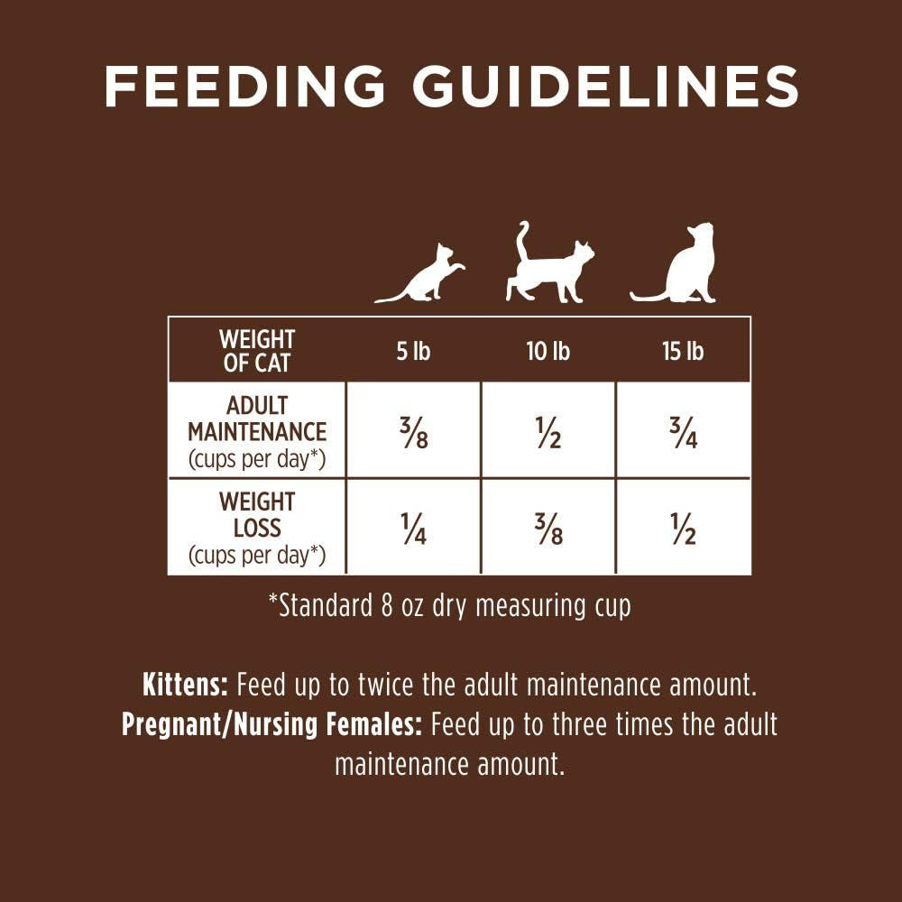 Duck Dry Cat Food, 10lb