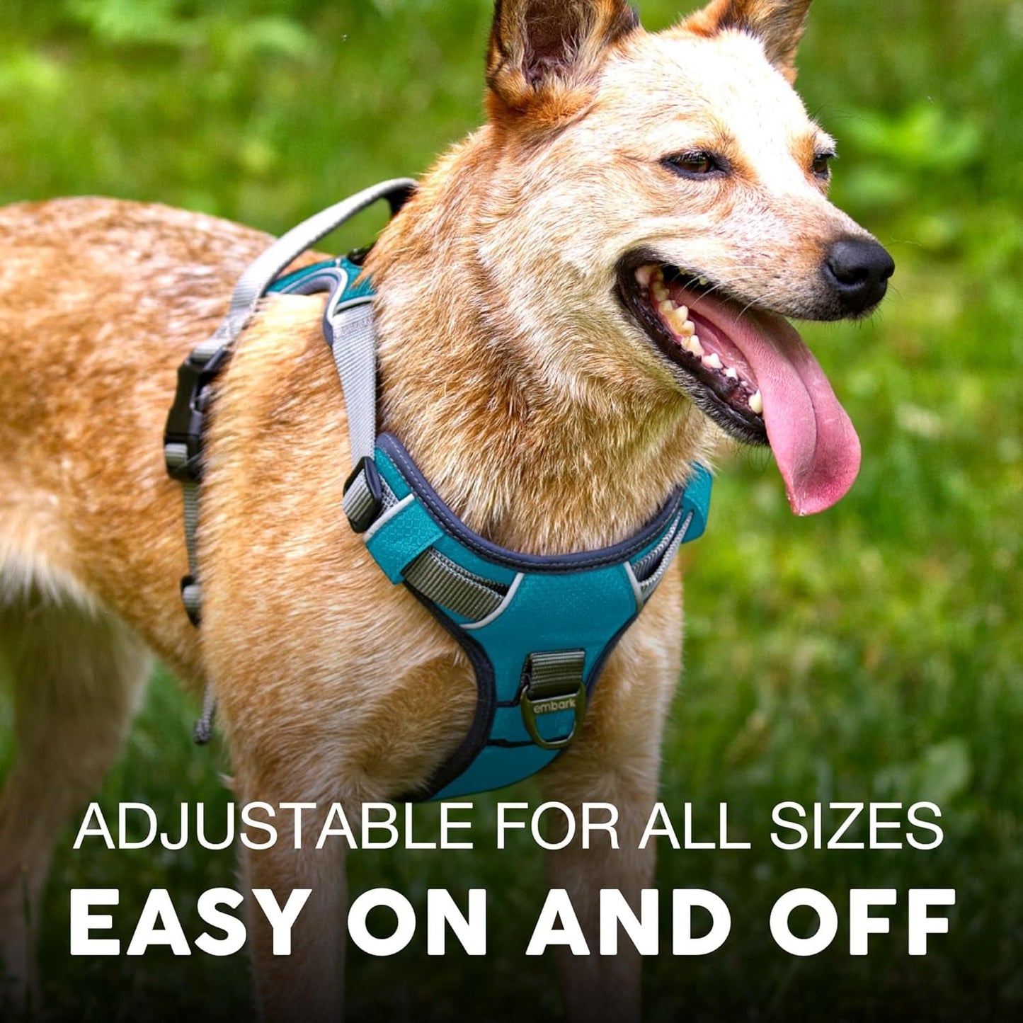 AdventurePro XL Dog Harness