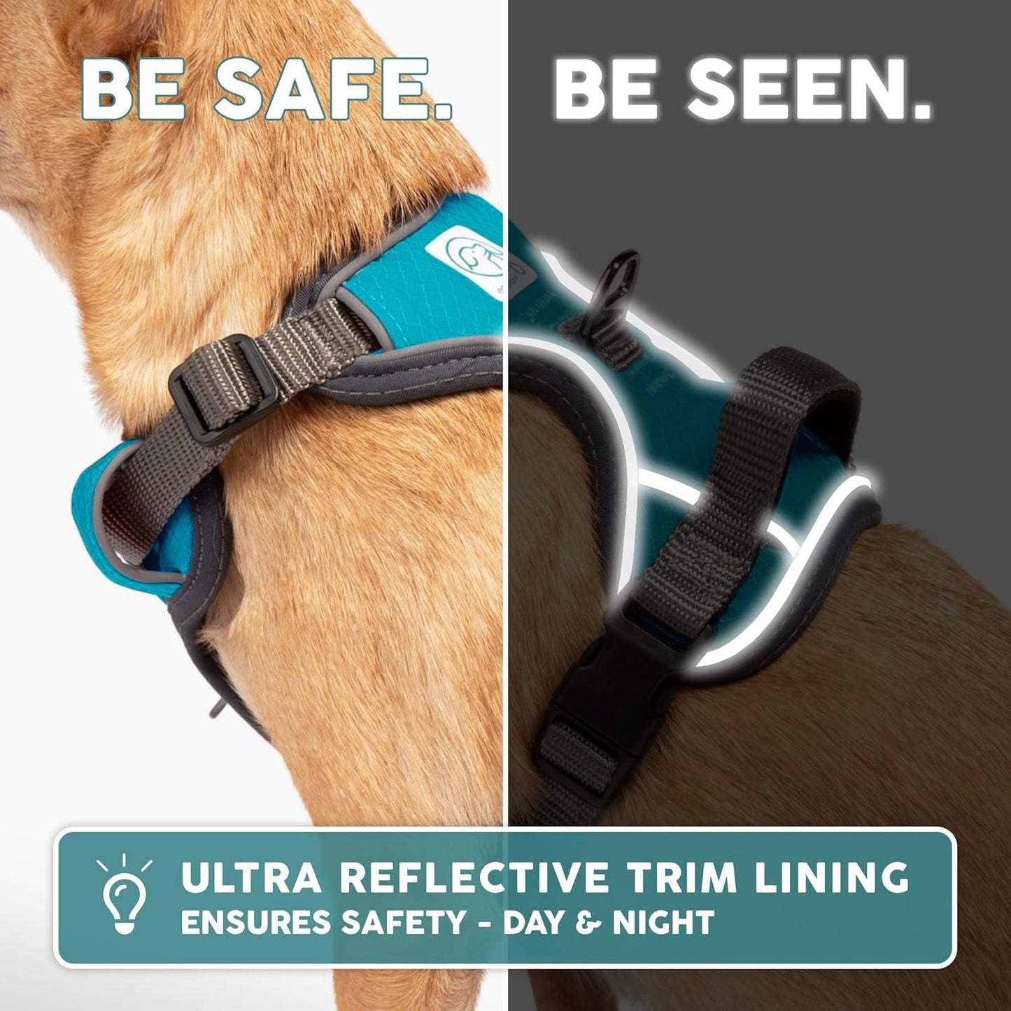AdventurePro XL Dog Harness