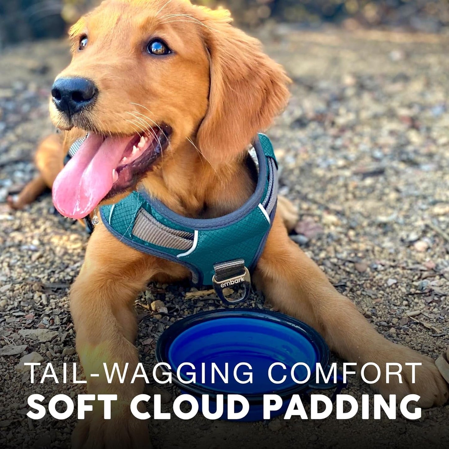 AdventurePro XL Dog Harness