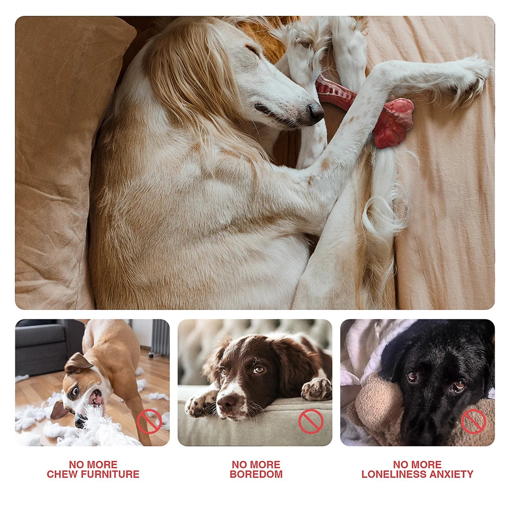 Indestructible Bone Chew Toy