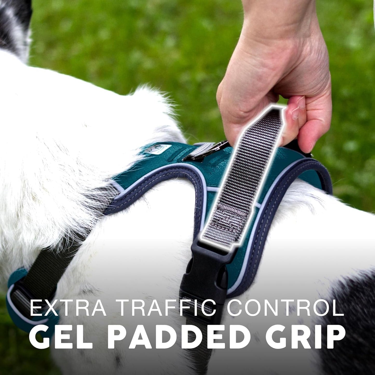 AdventurePro XL Dog Harness