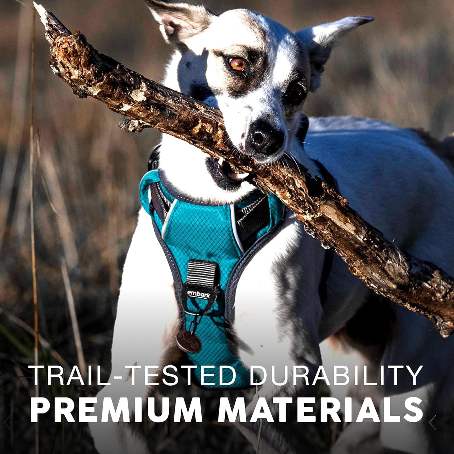 AdventurePro XL Dog Harness