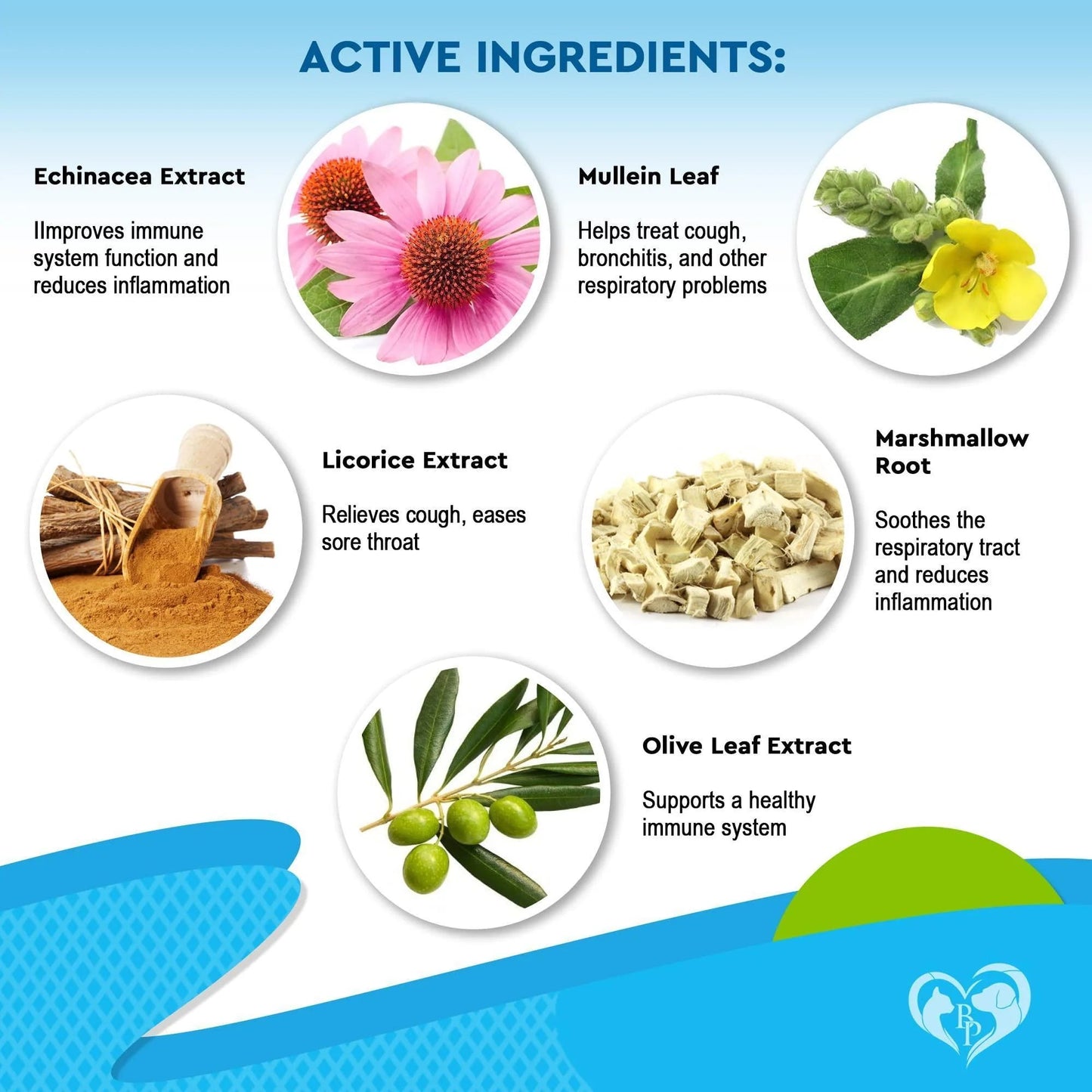 Natural Kennel Cough Relief