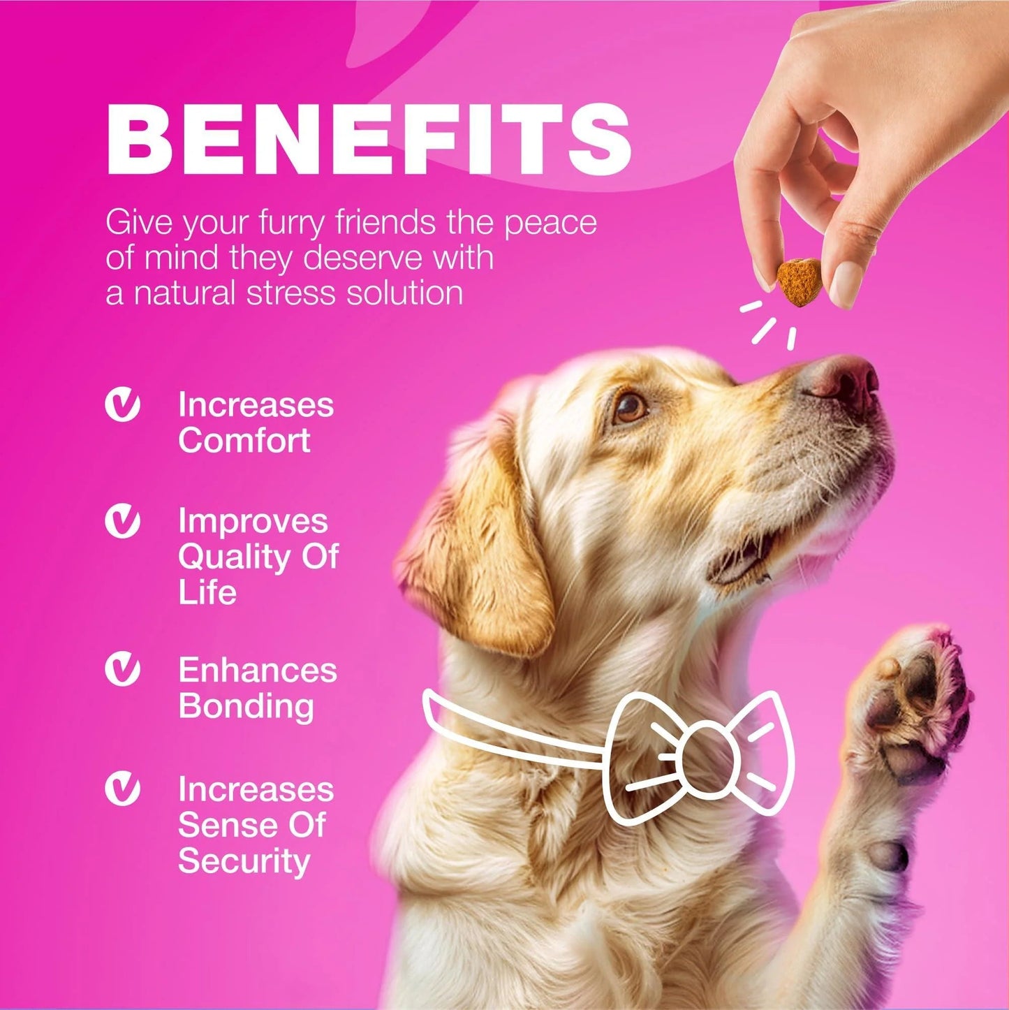 Kidney & Bladder Dog Supplement