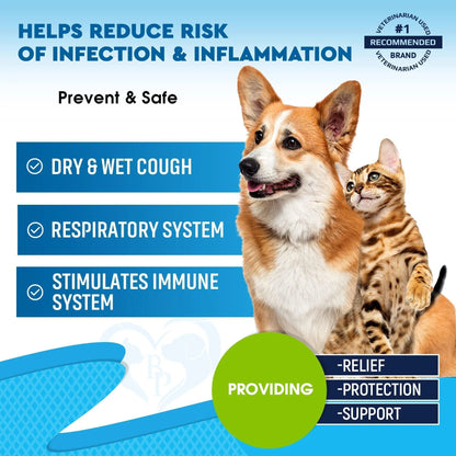 Natural Kennel Cough Relief