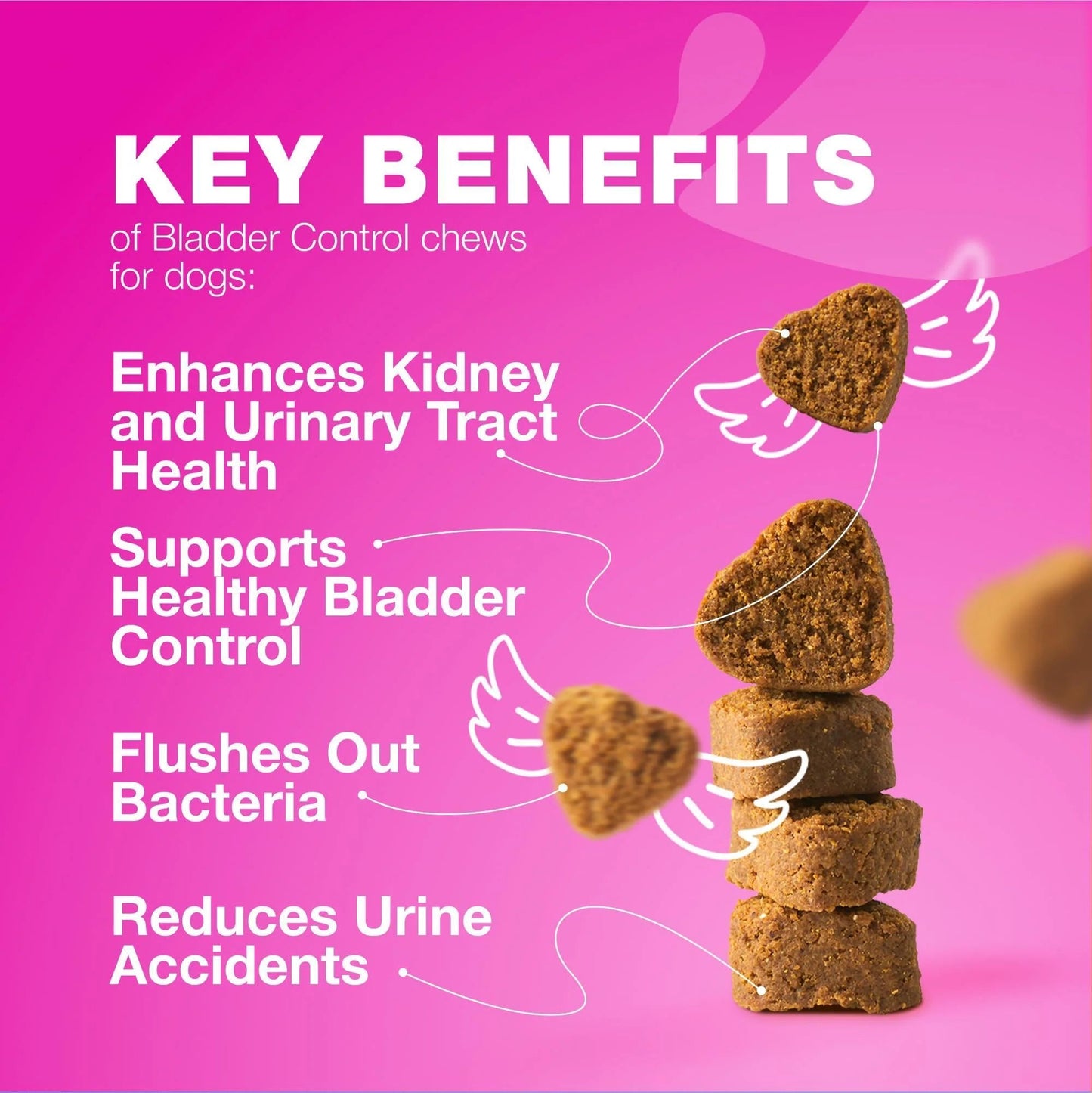 Kidney & Bladder Dog Supplement