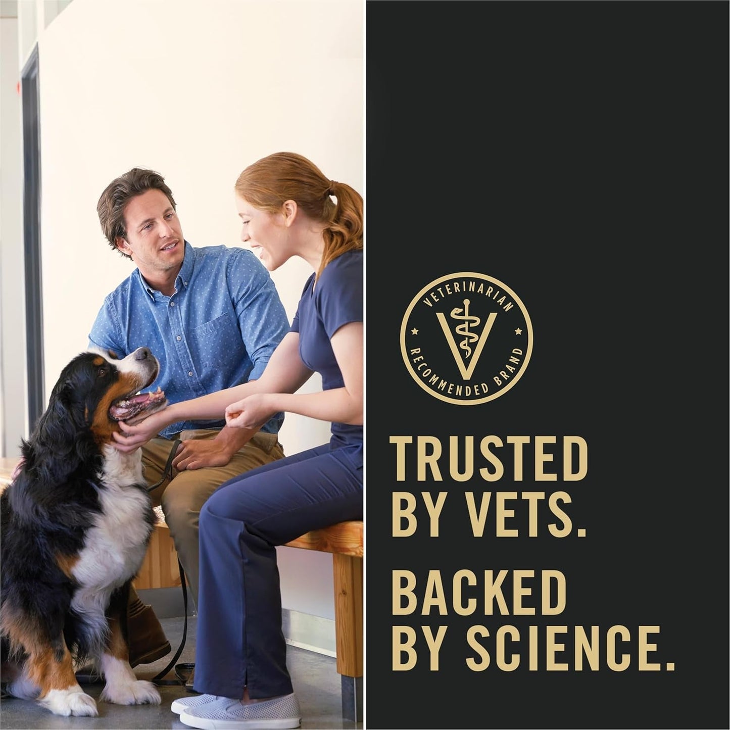 Pro Plan Balanced Dog Food