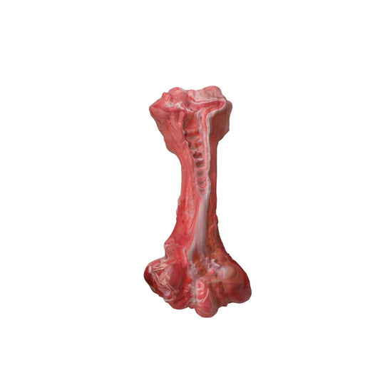 Indestructible Bone Chew Toy
