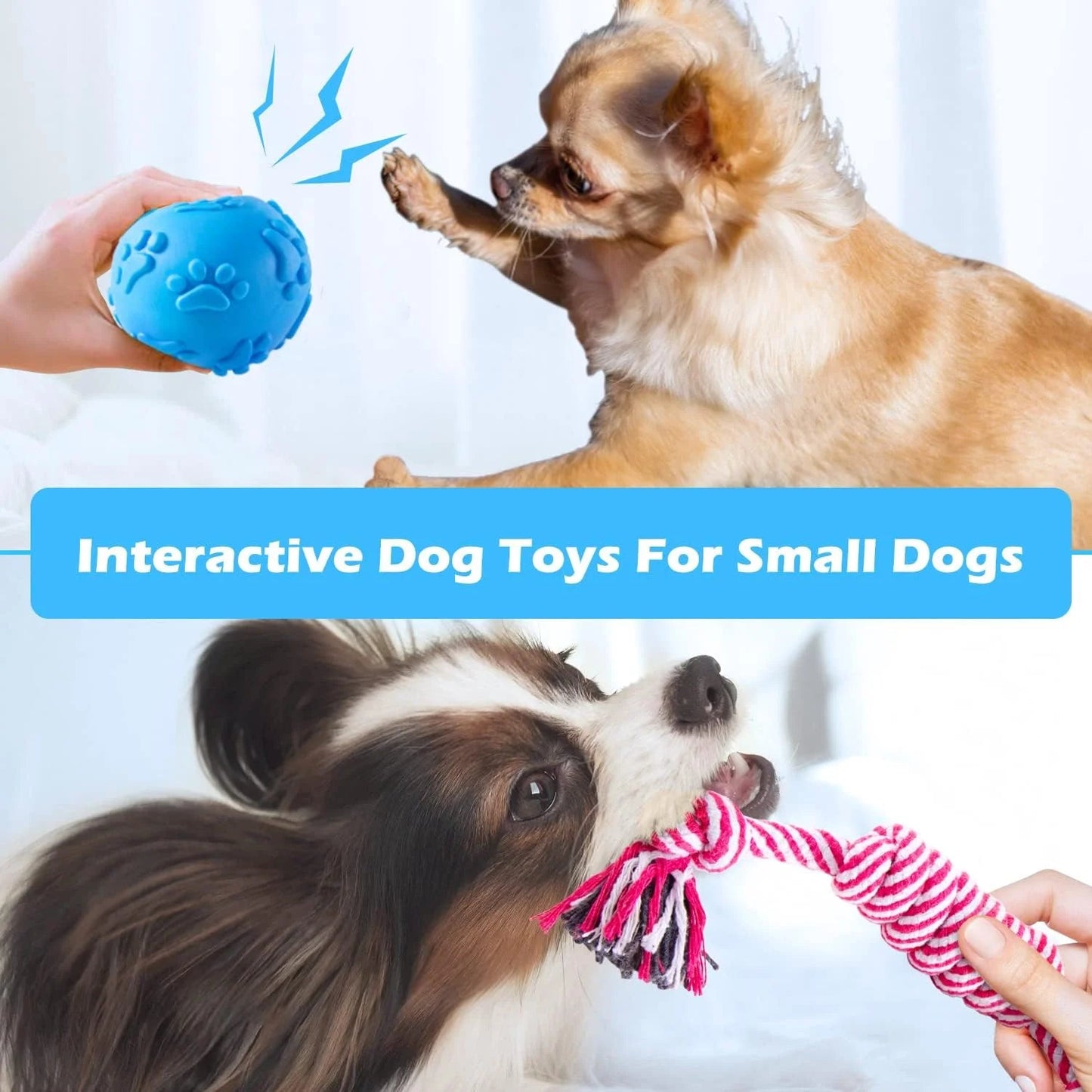 Puppy Teething Toys – Small Dog Chew Pack
