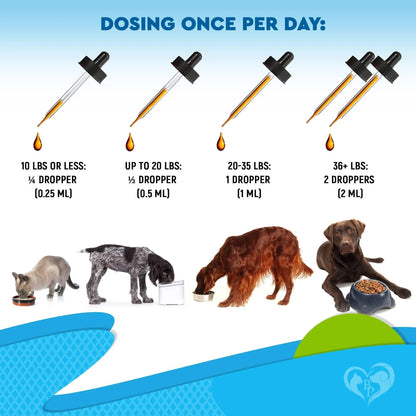 Natural Kennel Cough Relief