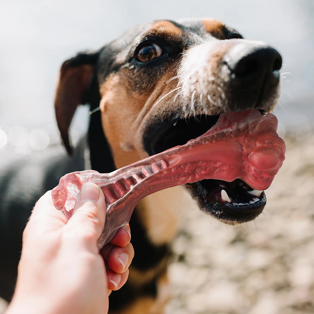 Indestructible Bone Chew Toy