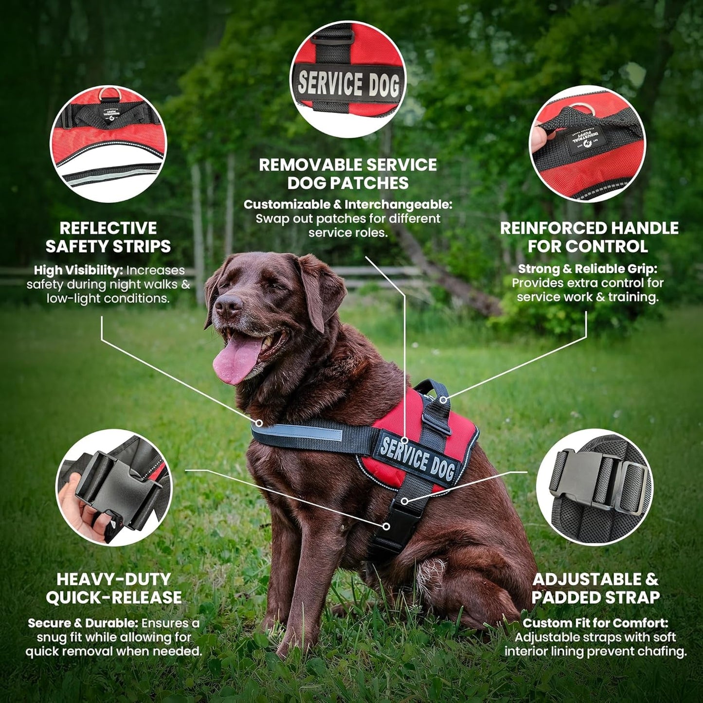 Adjustable Reflective Service Dog Vest