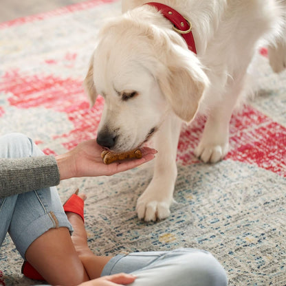 Easy Pill Pouches for Dogs