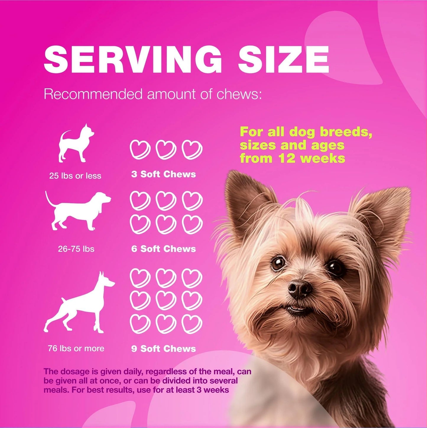 Kidney & Bladder Dog Supplement
