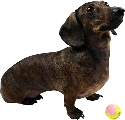 Mini Puppy Tennis Balls