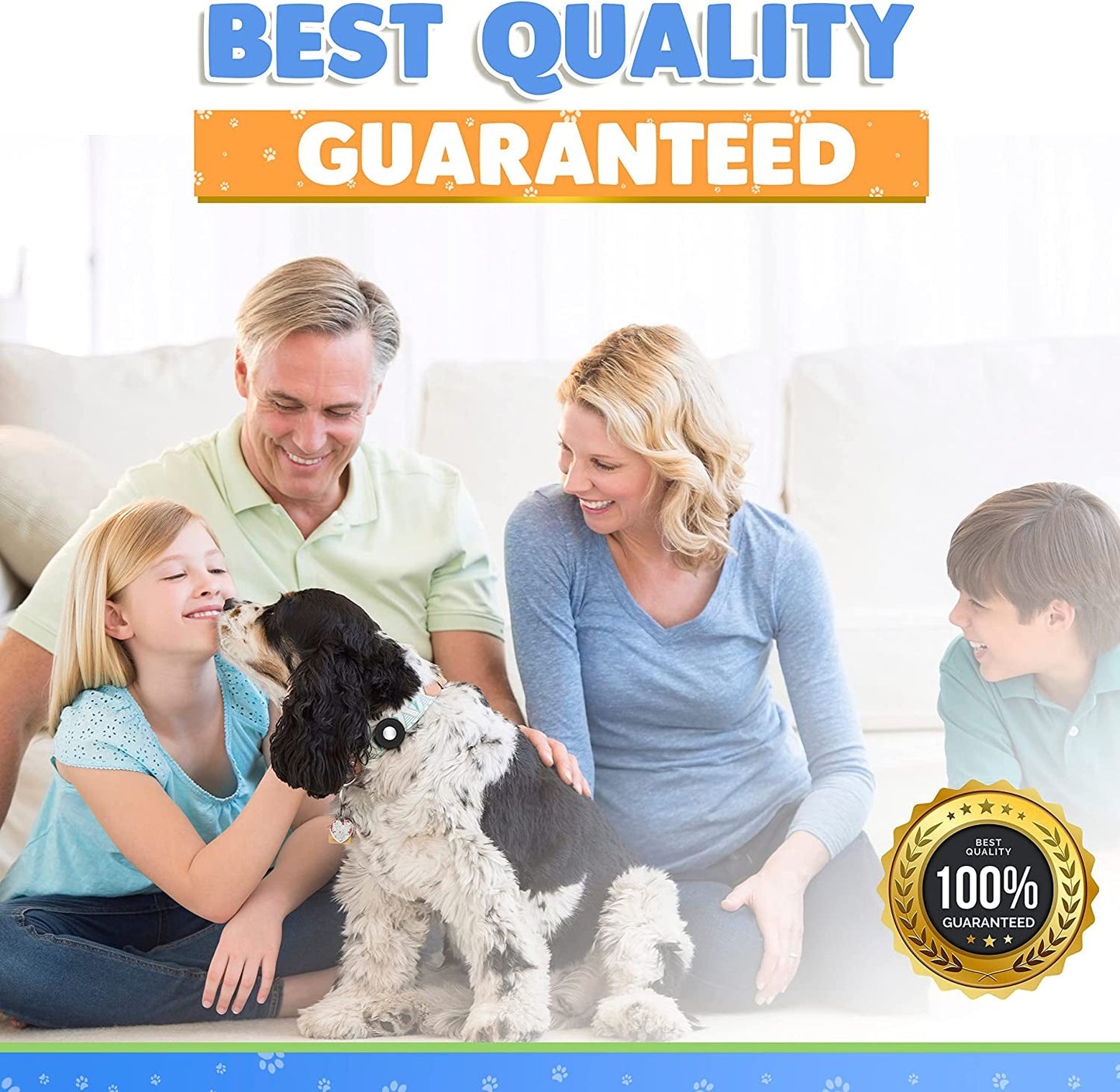 GPS-Free Pet Finder