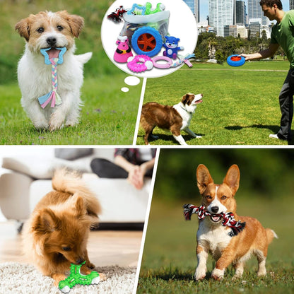 Puppy Teething Chew Toys Pack