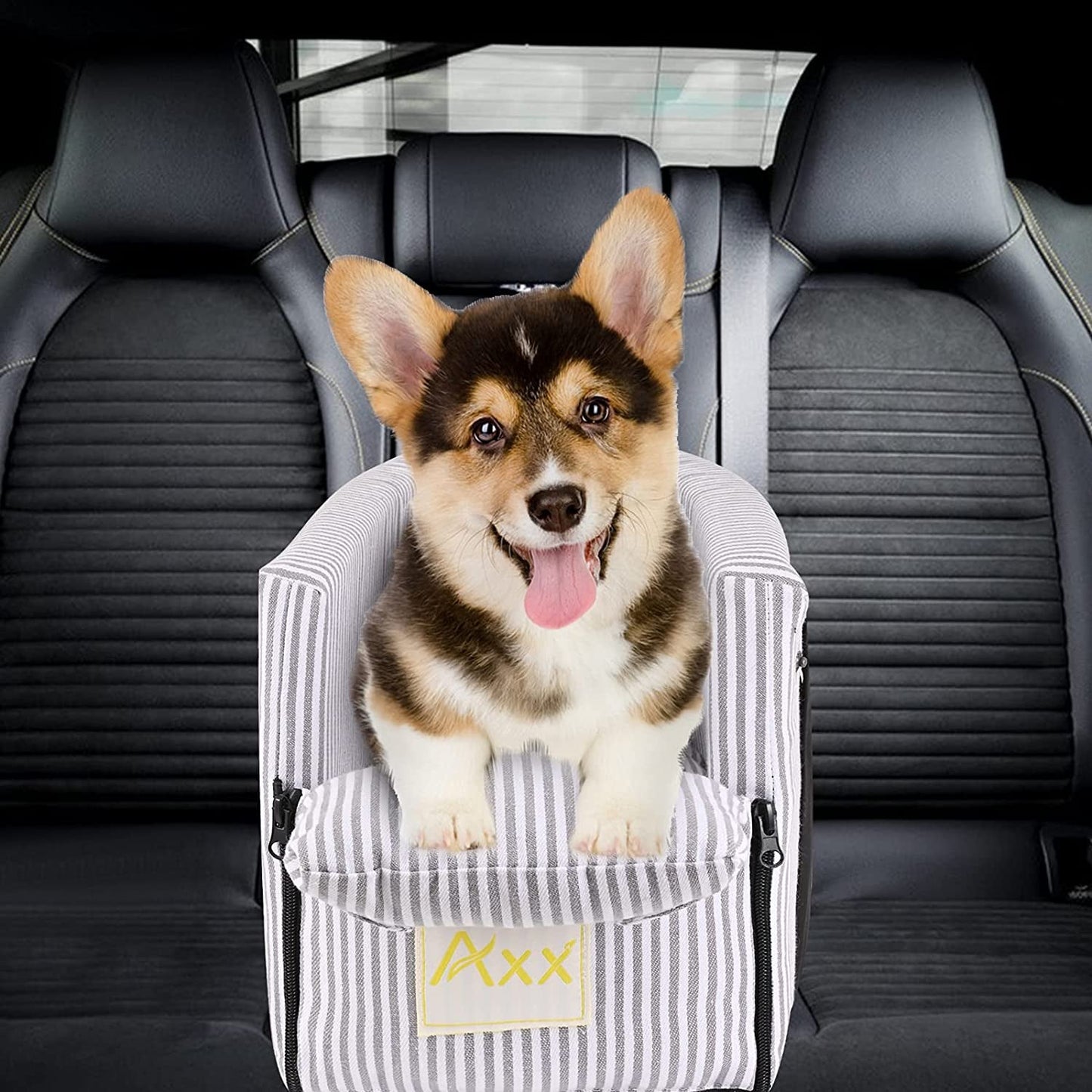 Adventure-Ready Pet Carrier