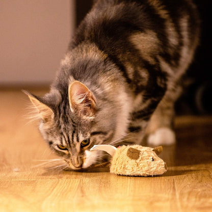 Self-Moving Kitten Exercise Toy
