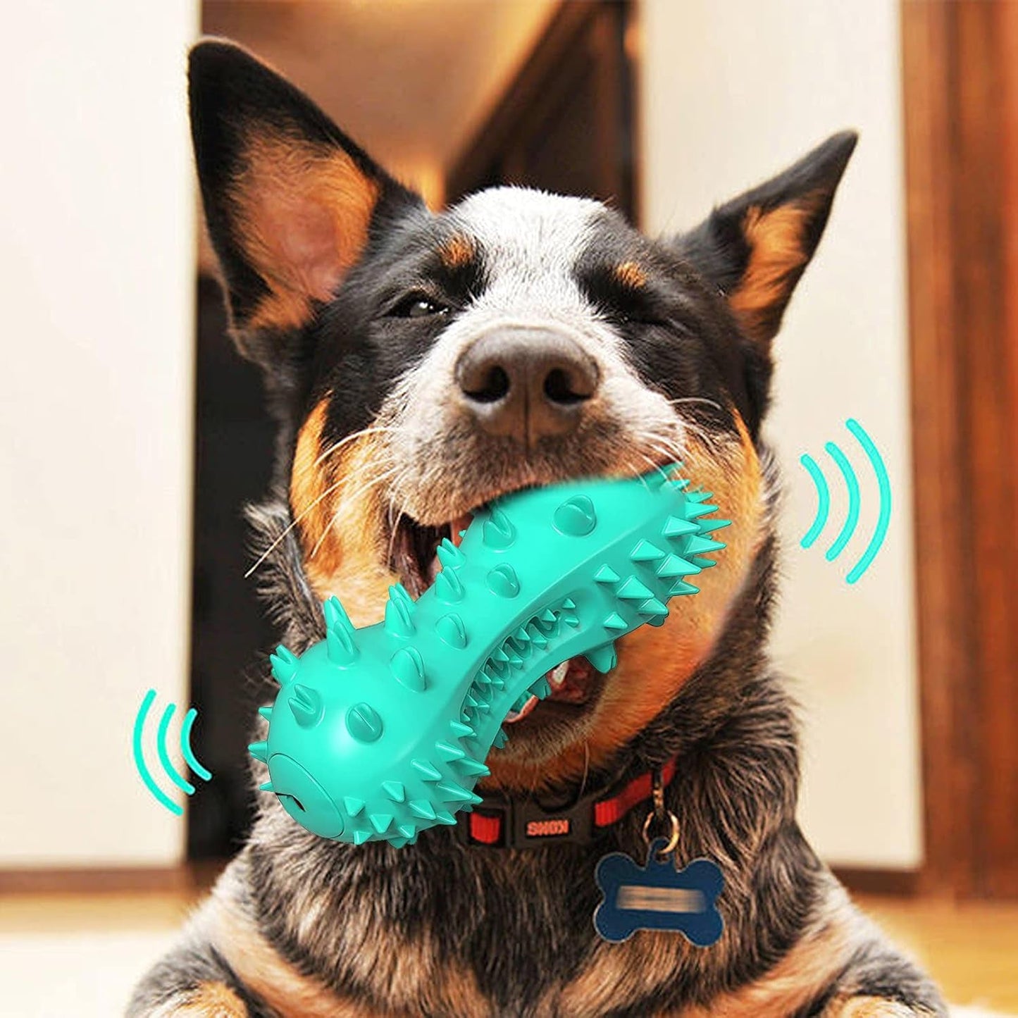Durable Dental Dog Toys