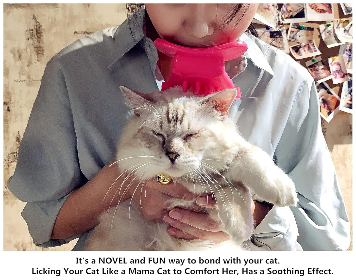 Surprise Kitty Grooming Gift