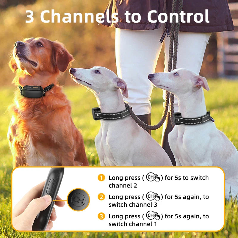 Smart Rechargeable Dog Training Collar