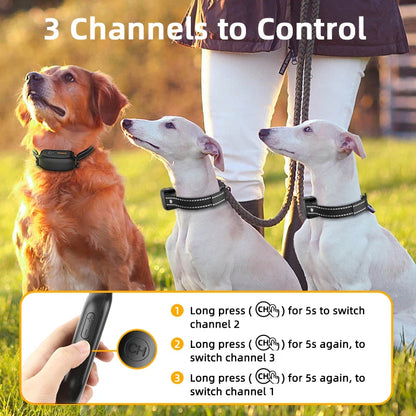 Smart Rechargeable Dog Training Collar