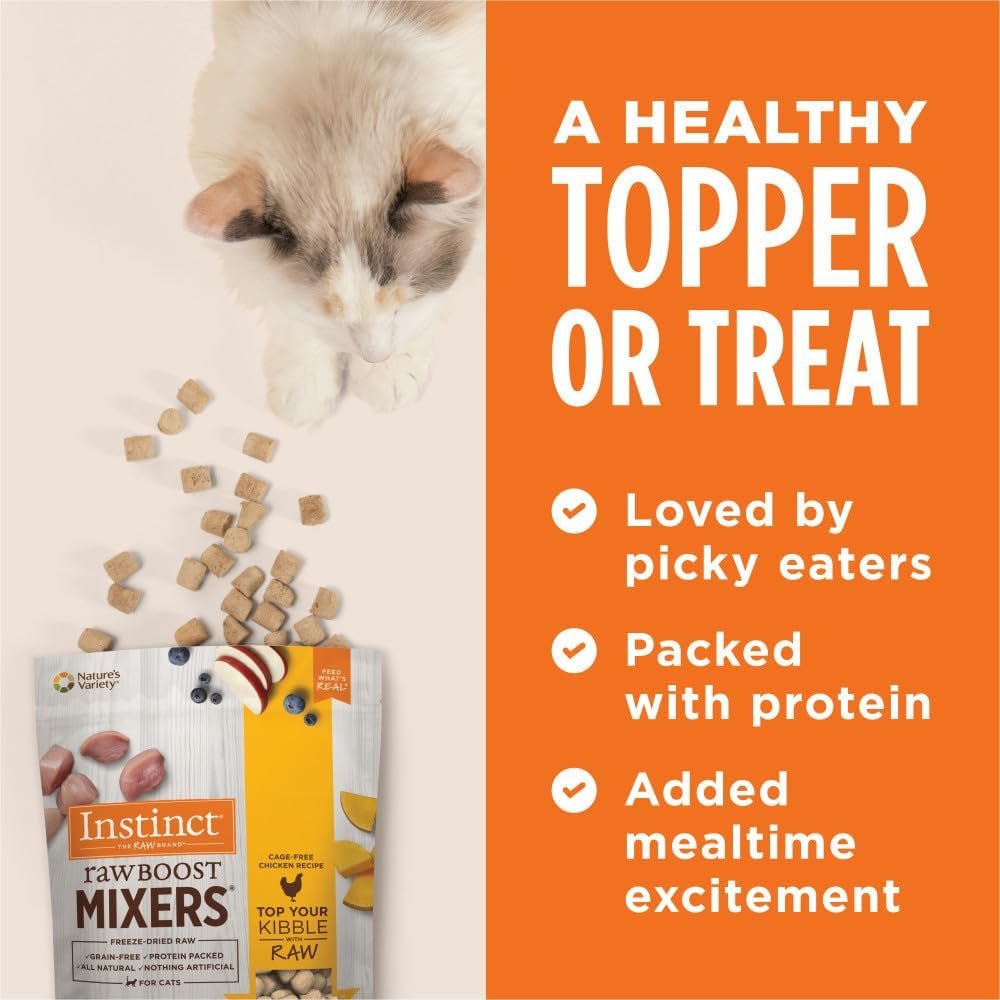 Protein-Packed Cat Mixer