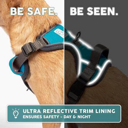 AdventurePro XL Dog Harness