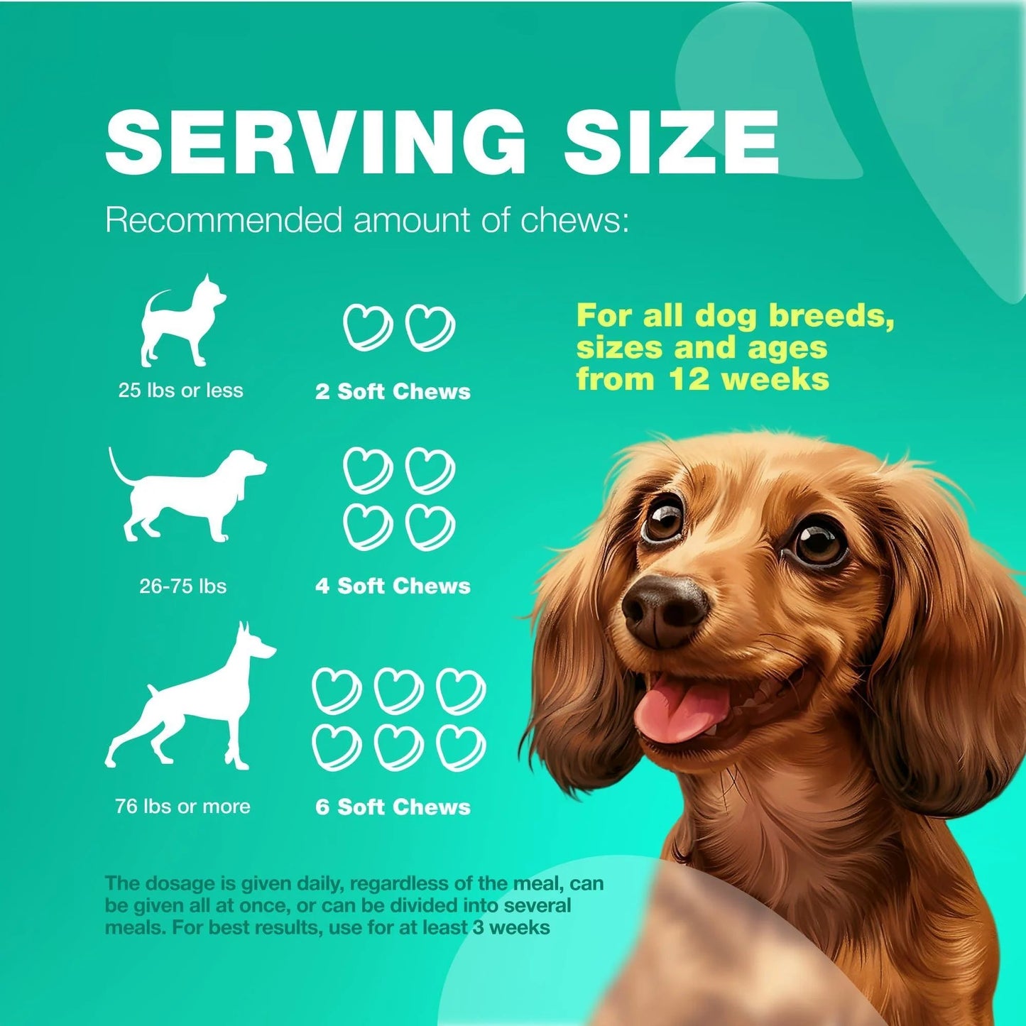 Dog Probiotic Soft Chews