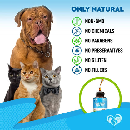 Natural Kennel Cough Relief