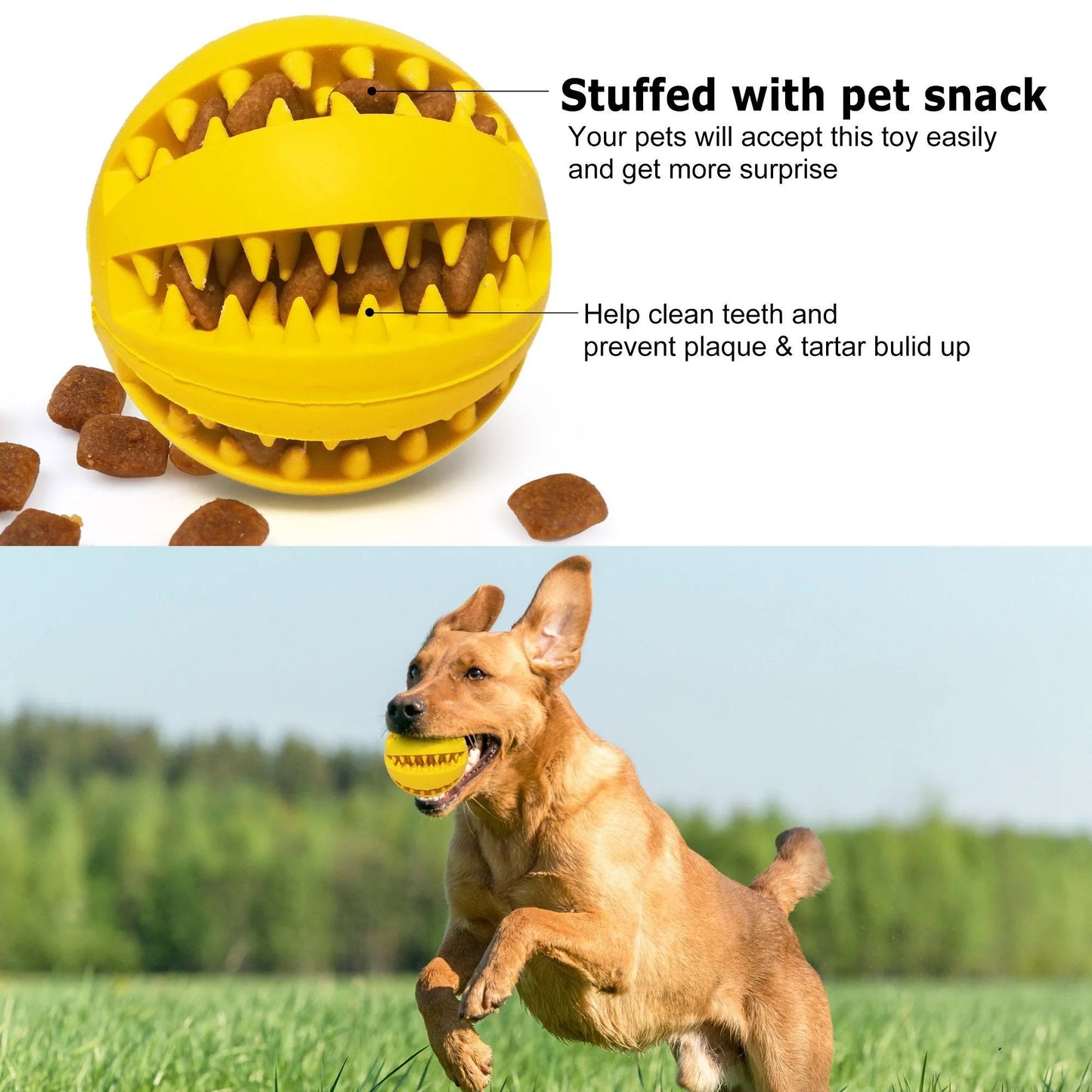 Large Dog Treat Ball (4-Pack)
