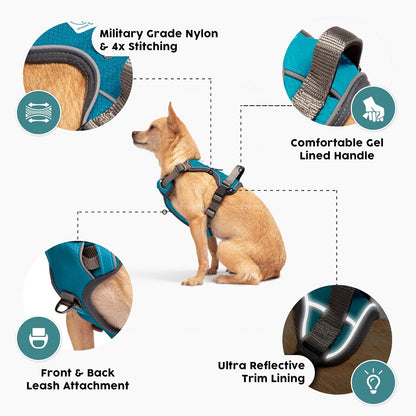 AdventurePro XL Dog Harness