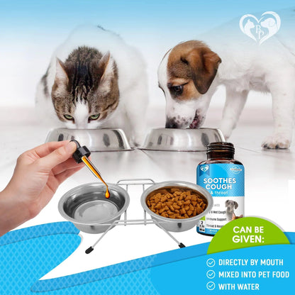 Natural Kennel Cough Relief