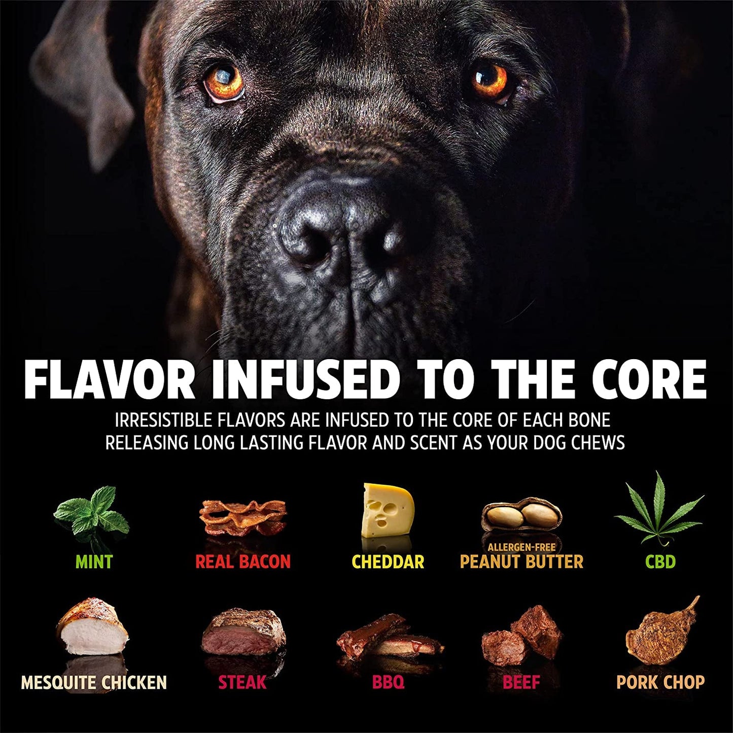 Dinosaur Barkbone - Tough Nylon Chew