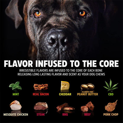 Dinosaur Barkbone - Tough Nylon Chew