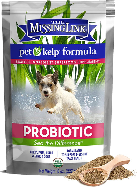 Gut Health Dog Powder