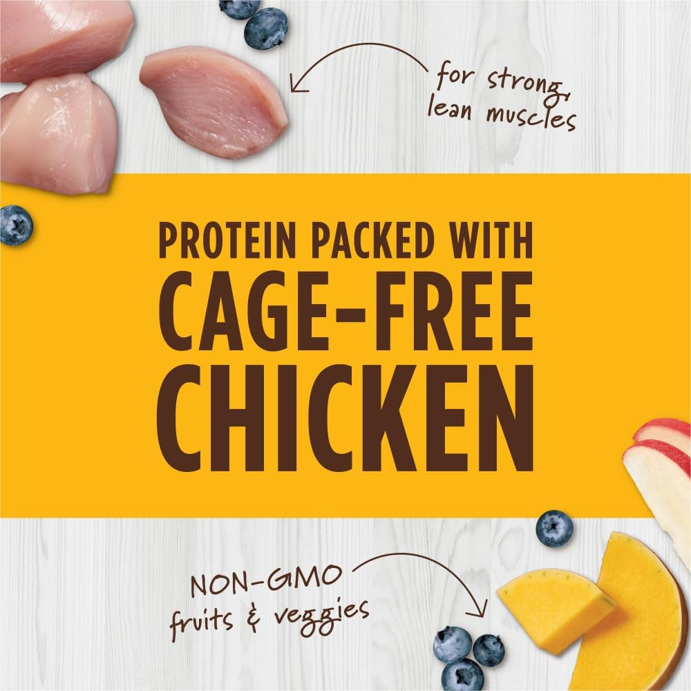 Protein-Packed Cat Mixer