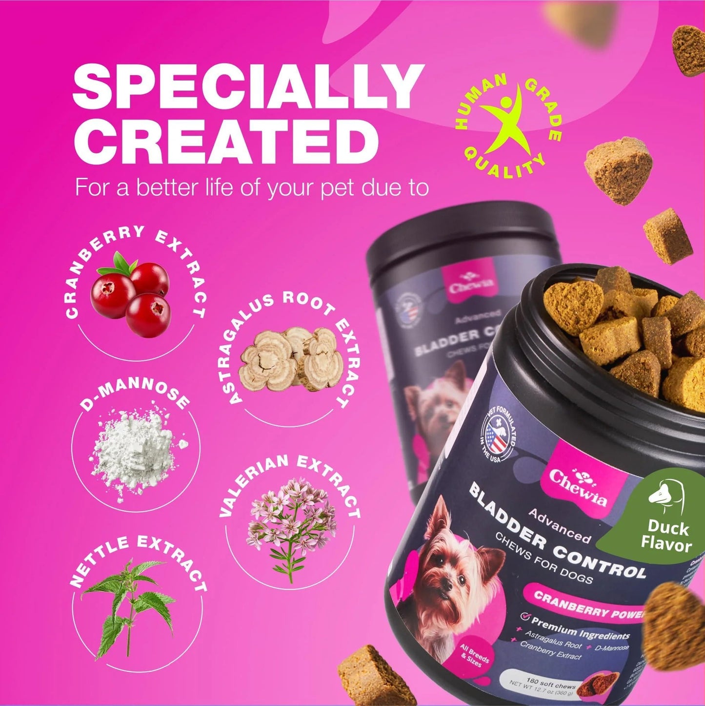 Kidney & Bladder Dog Supplement