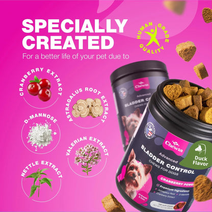 Kidney & Bladder Dog Supplement