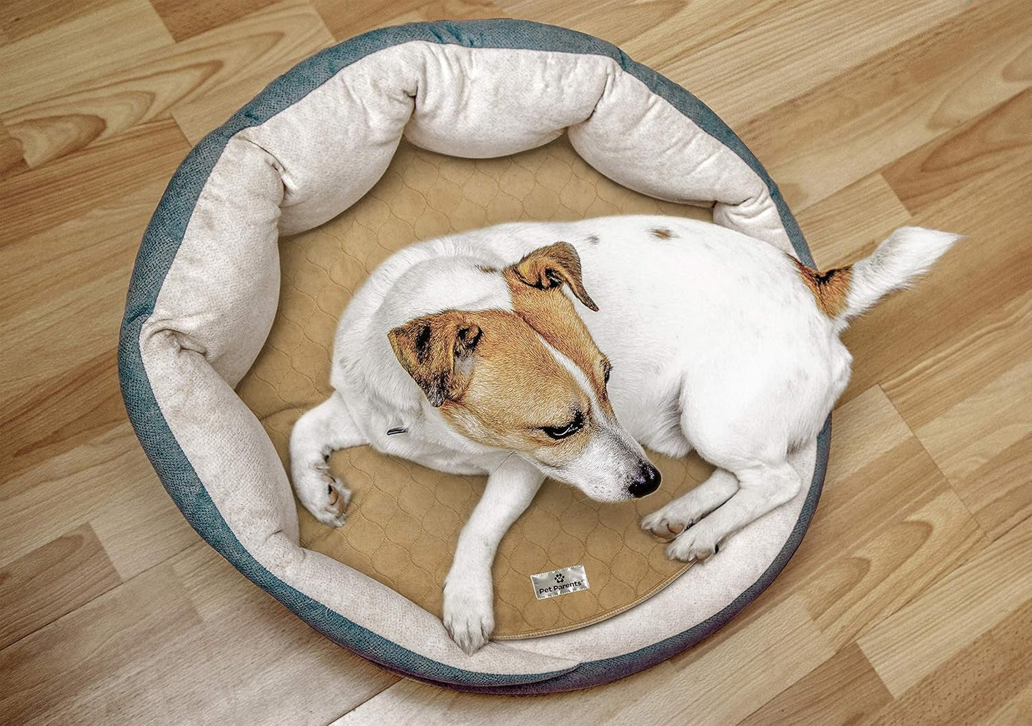 Eco-Friendly Whelping Pads