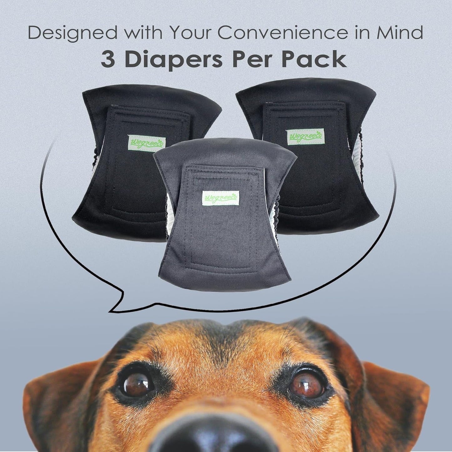 Eco-Friendly Puppy Bands