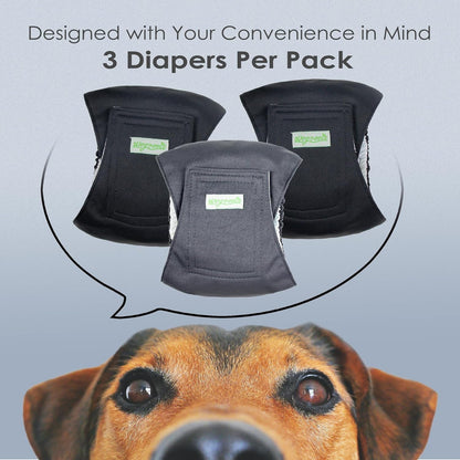 Eco-Friendly Puppy Bands