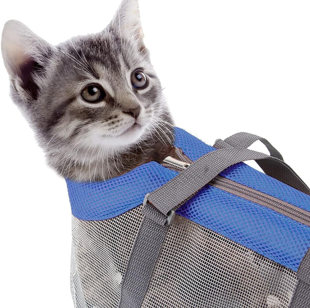 Foldable Mesh Pet Carrier