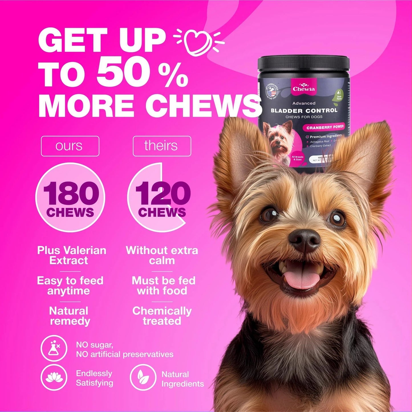 Kidney & Bladder Dog Supplement