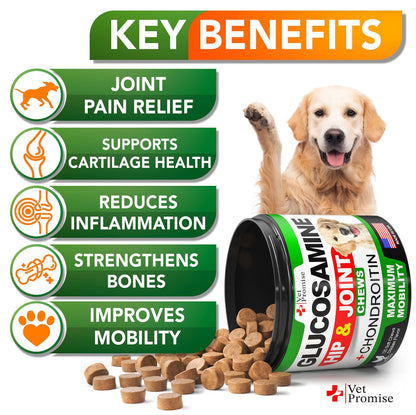 Mobility Support Dog Supplement